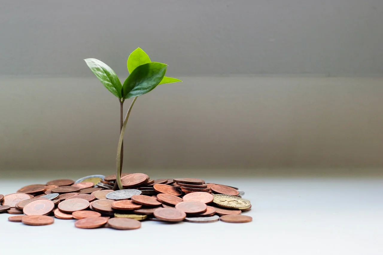 How to Charge More as a Wellness Coach Without Losing Clients