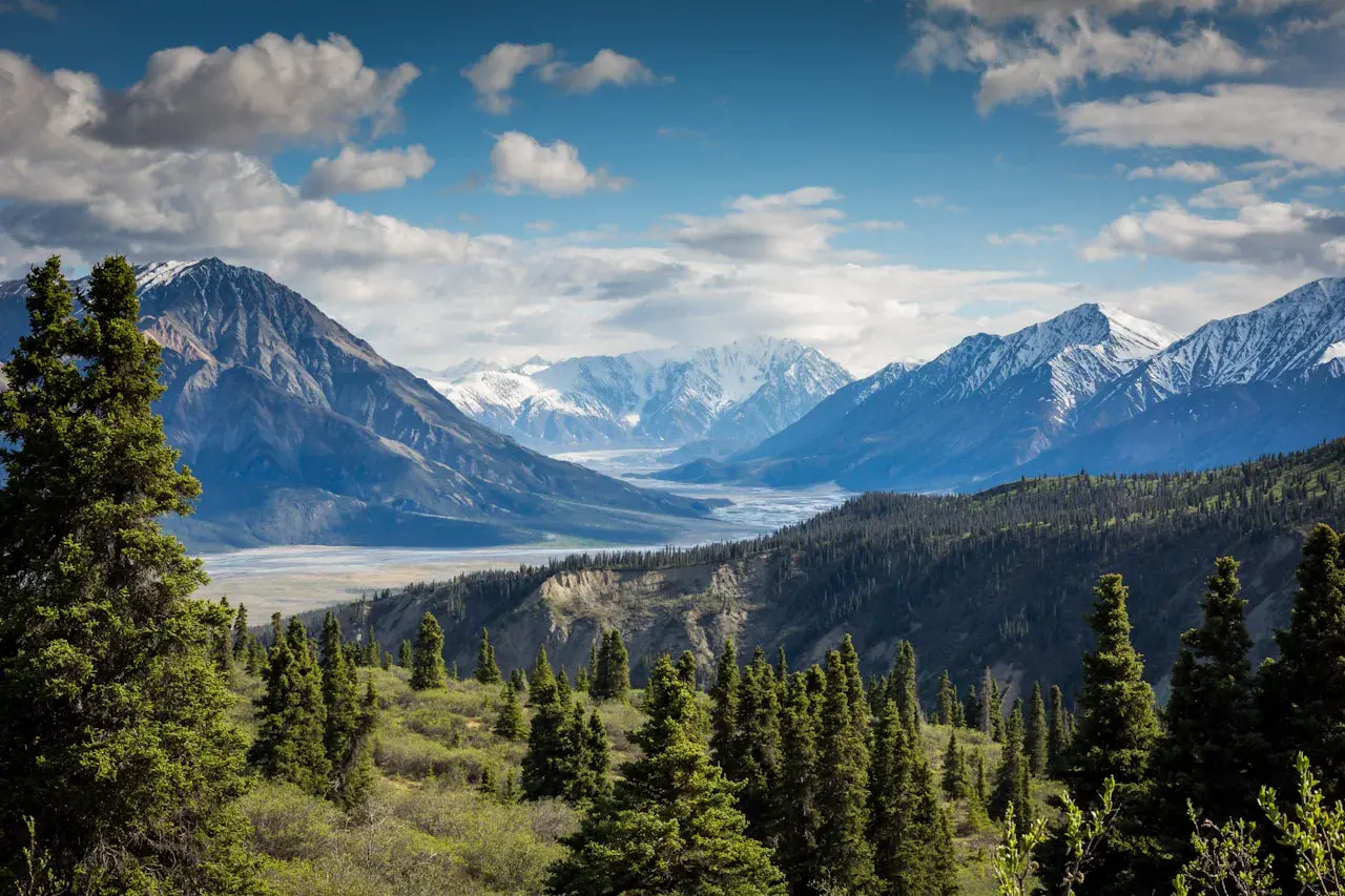 How to Price a Wellness Retreat: A Complete Guide for Practitioners